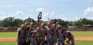 MSSH Baseball Golden Hawks Win District Championship