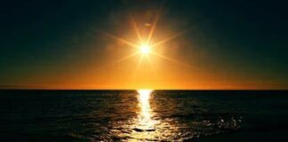 We Answer the Question “If Humans Evolved From Apes, Why Do We Still Have Apes?