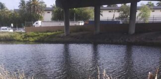 Santeria – Dead Animals at the Train Tracks Dead Goats