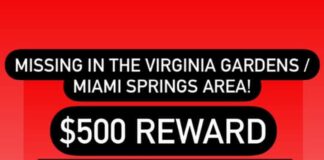 Missing Dog:  Female Boston Terrier