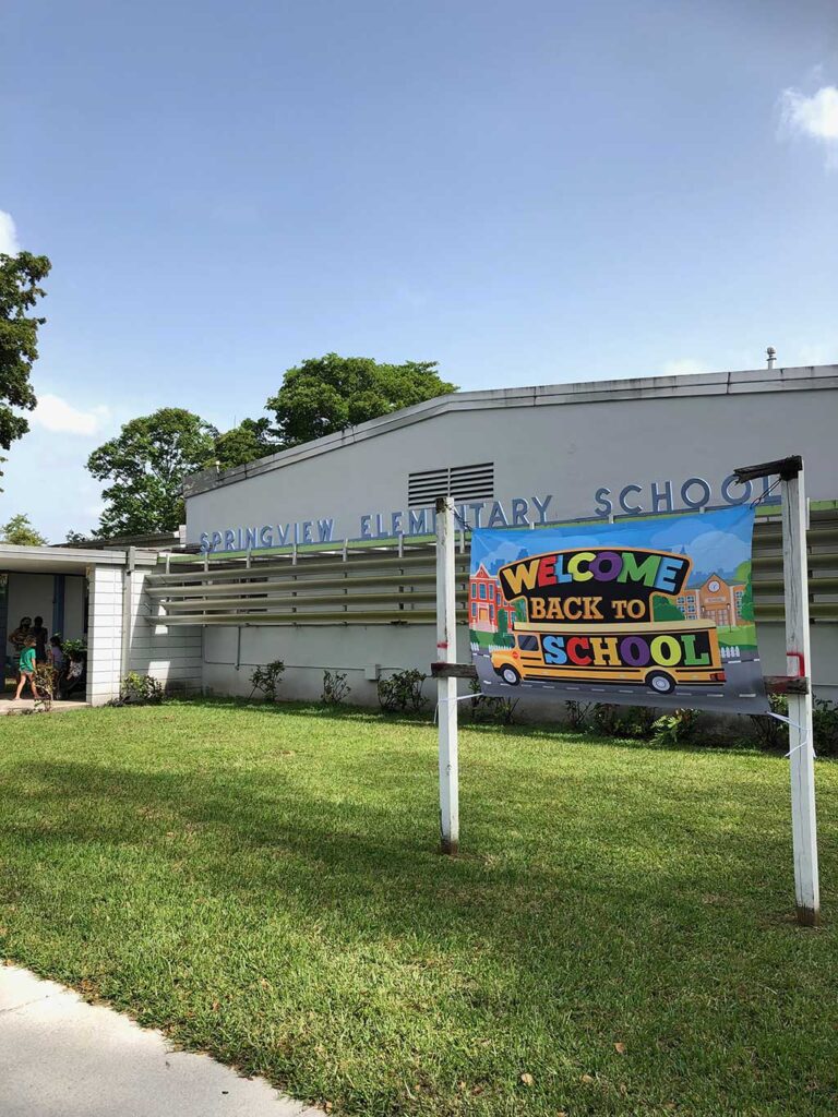 Spring View Elementary Springview Elementary Greets Students with Special Sidewalk Art ...