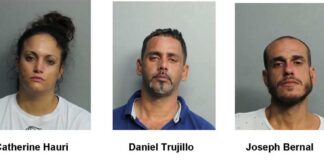 Trio Arrested for Armed Robbery, Grand Theft Auto, Grand Theft and Battery