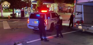 YouTuber Follows Springs Police Keeping the Neighborhood Safe