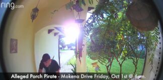Video Captures Porch Pirate on Mokena Drive