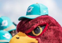 Dolphins Fire GM Chris Grier