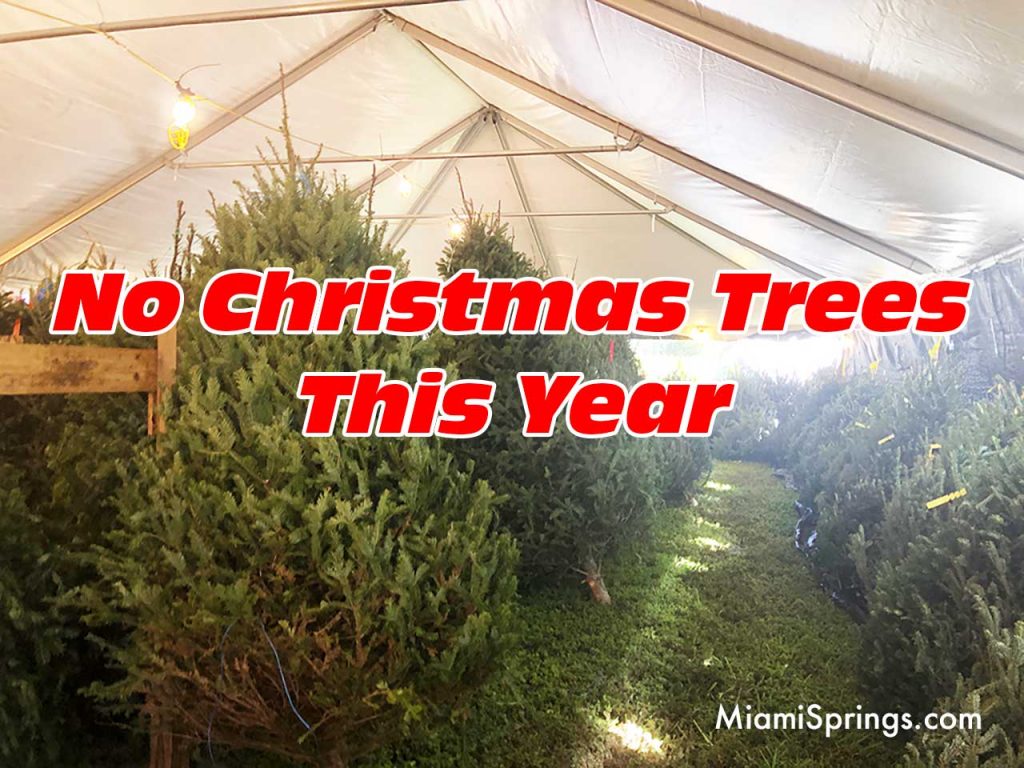 No Christmas Trees This Year