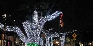 It’s Beginning to Look a Lot Like Christmas Christmas Decorations on the Miami Springs Circle