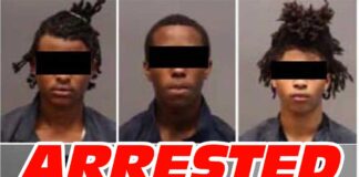 3 MALES ARRESTED ON BURGLARY CHARGES