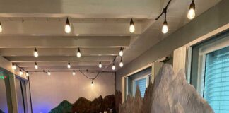 Fernandez Family Christmas Village in Virginia Gardens