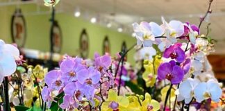 Special Valentine’s Message from Milam’s Markets