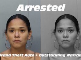 Arrested: Auto Theft & Outstanding Warrant Damary Barrios