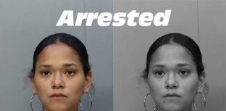 Arrested:  Auto Theft & Outstanding Warrant Damary Barrios