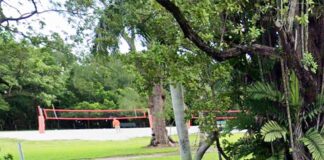 A Push for More Outdoor Sports Facilities Beach Volleyball Courts at Kennedy Park in the Grove