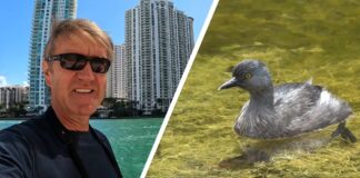 YouTuber Highlights Miami Springs’ Parakeets and Other Wildlife
