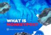 What is MonkeyPox?