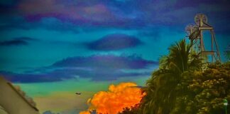 Stunning Photography Highlights Beautiful Miami Springs Miami Springs Bridges (Photo Credit: Trisha Kendrick)