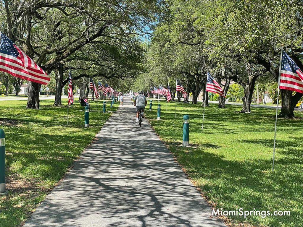 American Flags along Curtiss Parkway Bike Path
