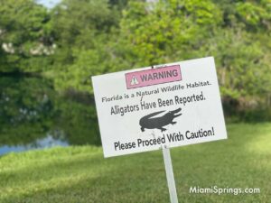 Alligator Warning Sign at Pond at Curtiss Mansion and Gardens