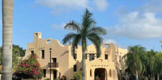 Dashing Through the Springs 5k Saturday Curtiss Mansion and Gardens