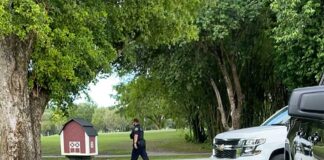 Crime on Your Driveway