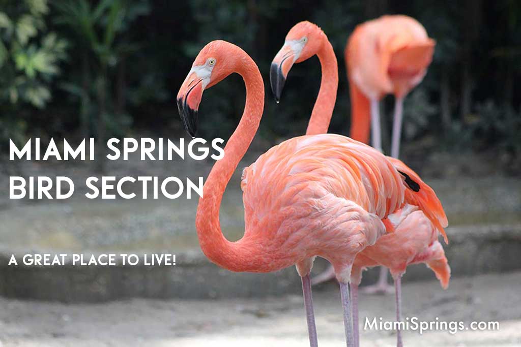 The Miami Springs Bird Section...A great place to live.