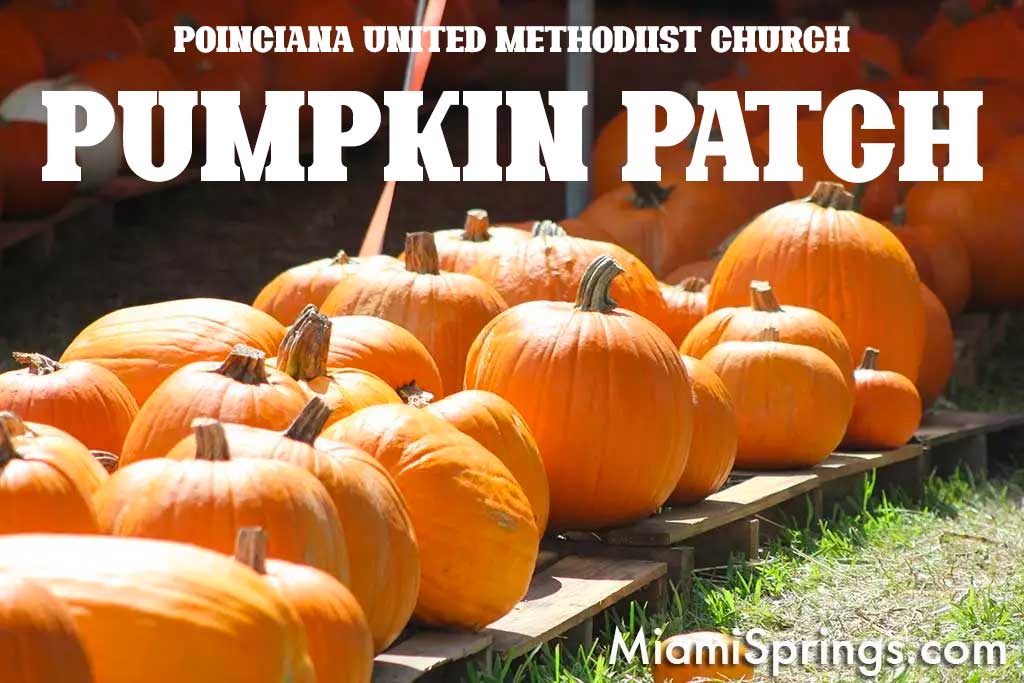 Poinciana United Methodist Church Pumpkin Patch