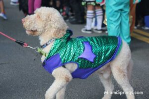 Dog in the Halloween Parade 2022: Miami Springs Elementary