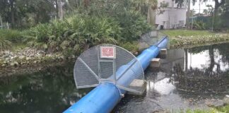 Spanish Tour of the Miami Springs Branch Library Area