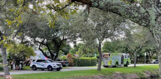 Thanksgiving Day Tragedy: Driver Dies After Car Submerges in Shallow Canal