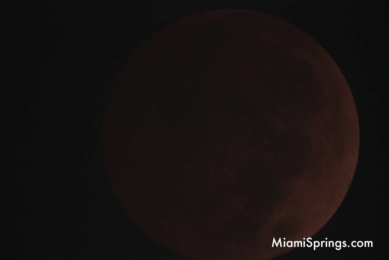 Blood Red Moon over Miami Springs