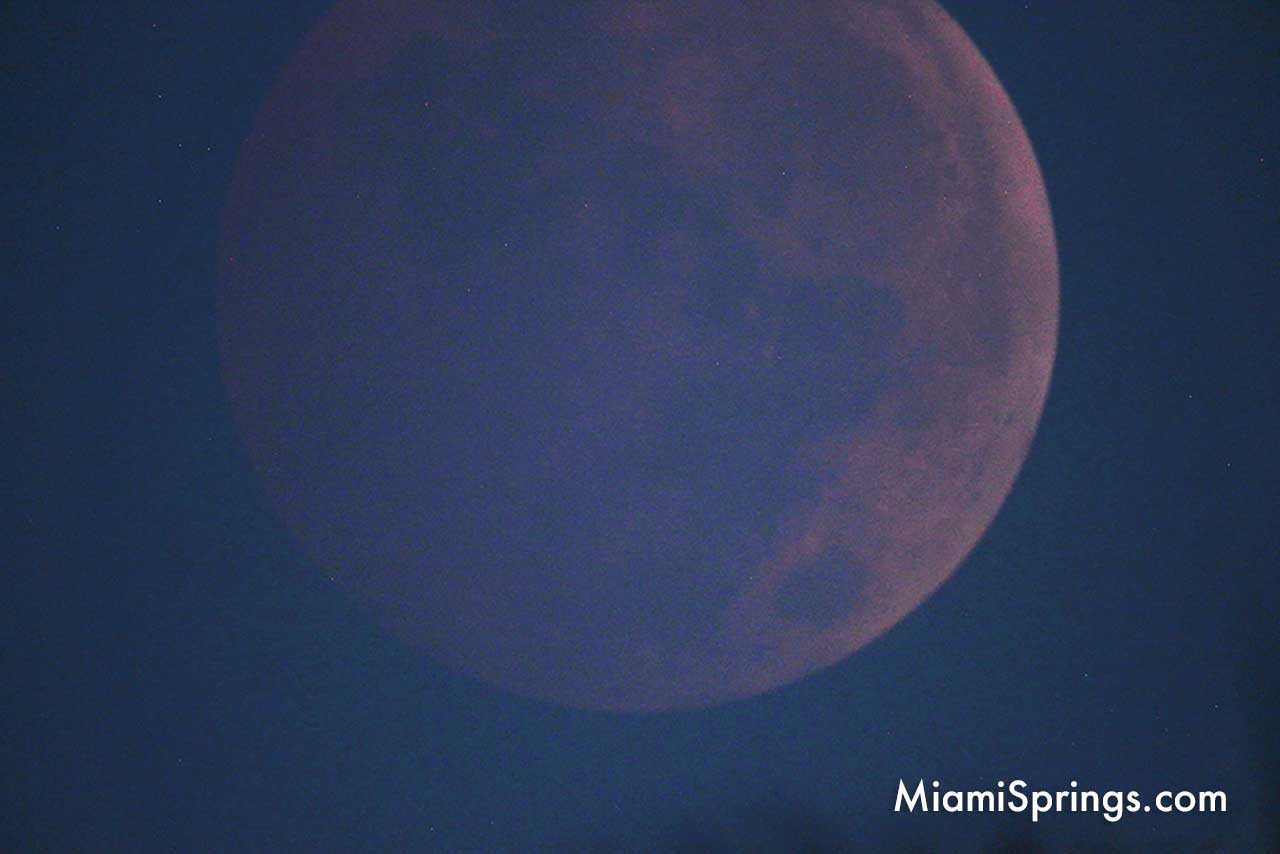 Blood Red Moon over Miami Springs