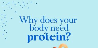 Why does your body need protein?
