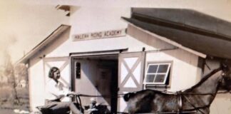 Miami Springs Horse Country