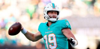 Let’s Go Dolphins! Miami Dolphins