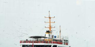 Getting Help After a Princess Cruise Line Accident in Miami