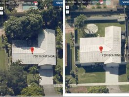 Resident & City Manager Clash Over Tree Removals Tree Removals on Nightingale