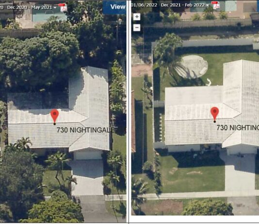 Resident & City Manager Clash Over Tree Removals Tree Removals on Nightingale