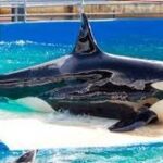 17951018732412282_miamispringsfl