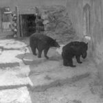 18018423727530343_miamispringsfl