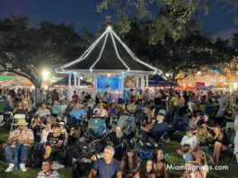 Huge Crowd and Great Weather at River Cities Festival