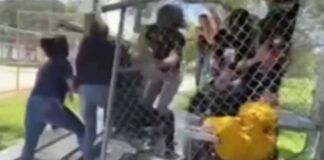 AIE Teens Face Felony Charges after Fight at Stafford Park