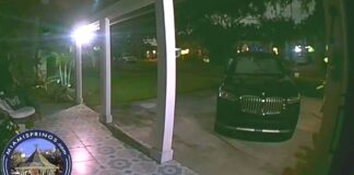 Video of Porch Pirate taking Packages