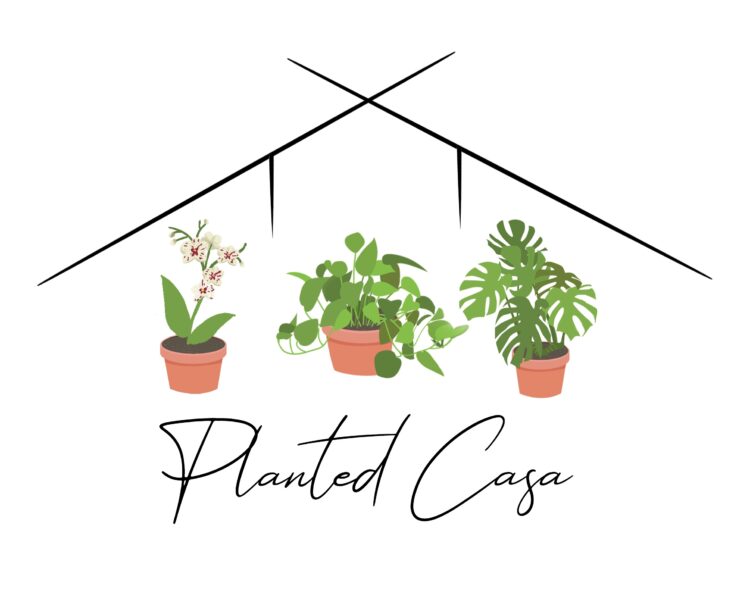 Planted Casa – Your Local Plant Shop