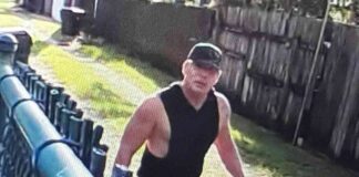 Video Captures Case of Stolen Avocados