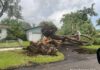 Storm Knocks Down Trees, Creates a Traffic Mess