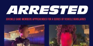 2 Juvenile Gang Members Arrested in Miami Springs