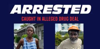 Pregnant Woman and Dealer Busted in Alleged Drug Deal