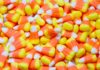 Halloween Candy: A Bite Sized Sugar Rush And A Bug’s Life