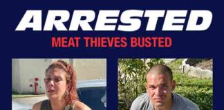 Meat Theft and Stolen Motorcycle Recovered by Miami Springs Police Department