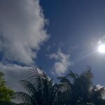 18014160758056423_miamispringsfl